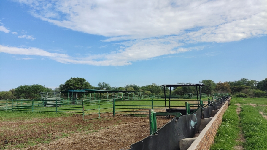 6 Bedroom Property for Sale in Tolwe Limpopo