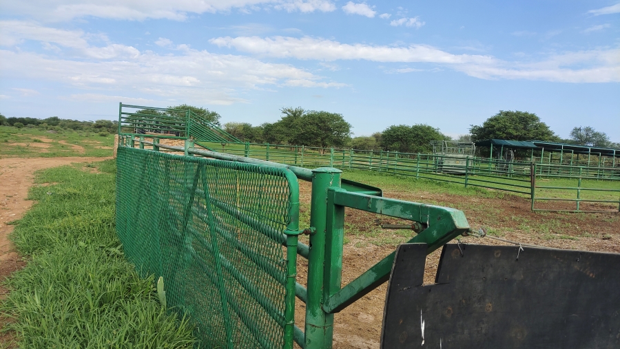 6 Bedroom Property for Sale in Tolwe Limpopo