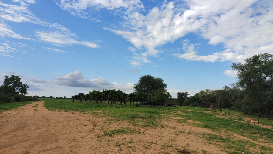 6 Bedroom Property for Sale in Tolwe Limpopo