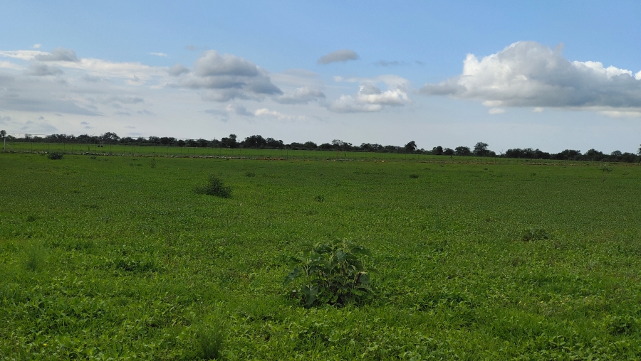 6 Bedroom Property for Sale in Tolwe Limpopo