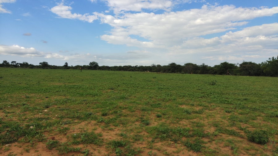 6 Bedroom Property for Sale in Tolwe Limpopo