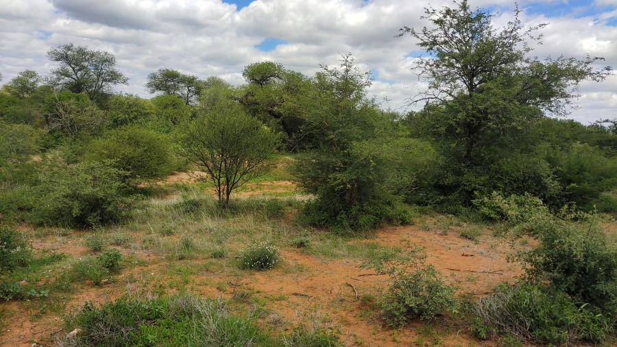 6 Bedroom Property for Sale in Tolwe Limpopo