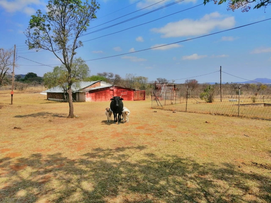 7 Bedroom Property for Sale in Palmietfontein Limpopo