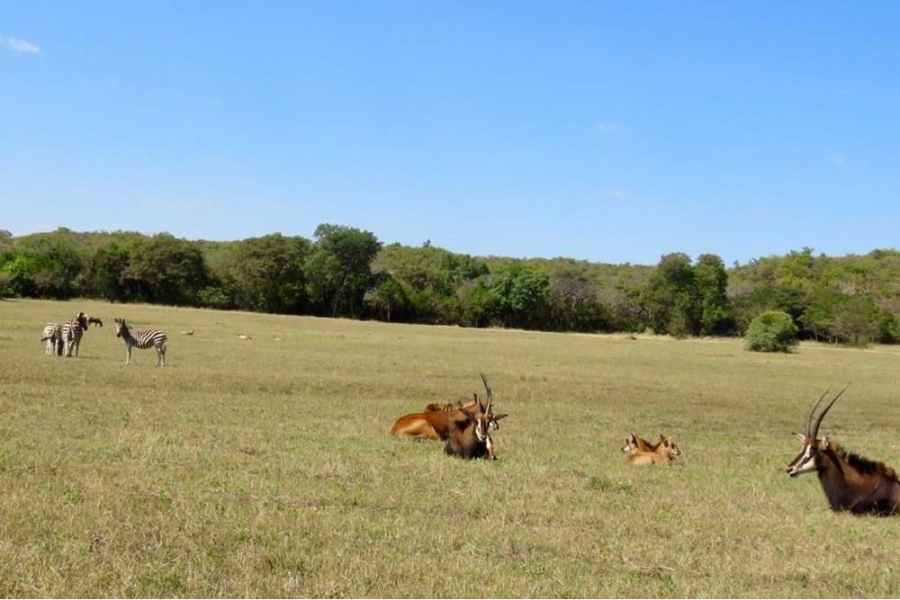 0 Bedroom Property for Sale in Verloren Estate Limpopo