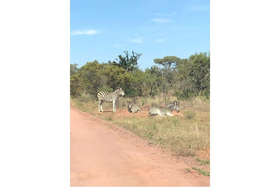 0 Bedroom Property for Sale in Verloren Estate Limpopo
