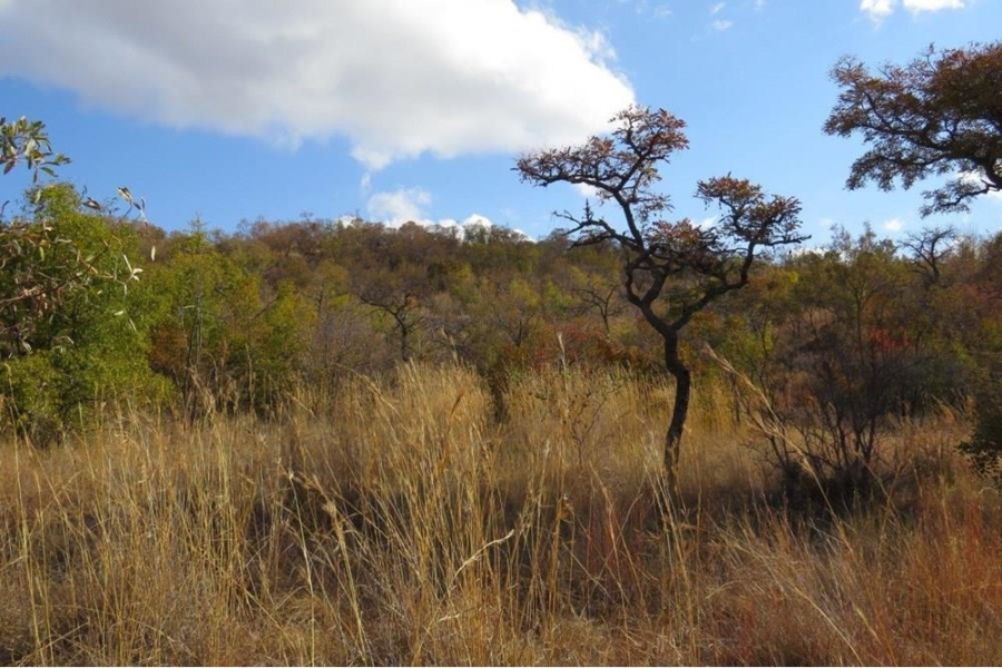 0 Bedroom Property for Sale in Zwartkloof Private Game Reserve Limpopo