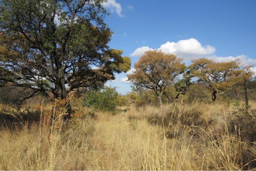 0 Bedroom Property for Sale in Zwartkloof Private Game Reserve Limpopo