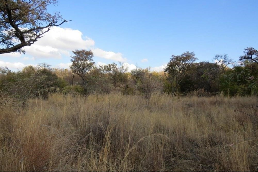 0 Bedroom Property for Sale in Zwartkloof Private Game Reserve Limpopo