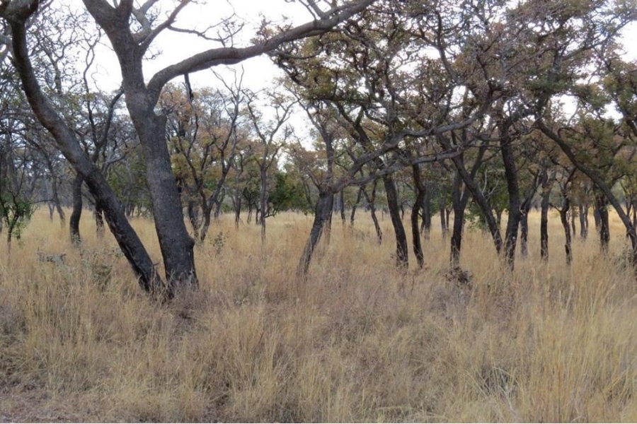 0 Bedroom Property for Sale in Zwartkloof Private Game Reserve Limpopo