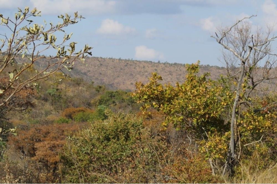 0 Bedroom Property for Sale in Zwartkloof Private Game Reserve Limpopo