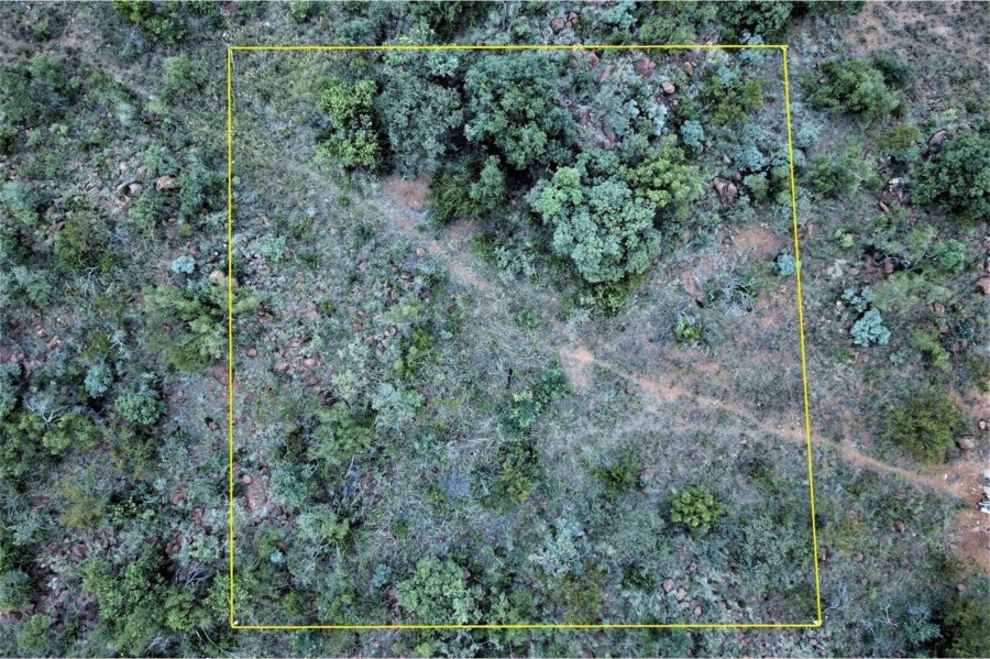 0 Bedroom Property for Sale in Zwartkloof Private Game Reserve Limpopo