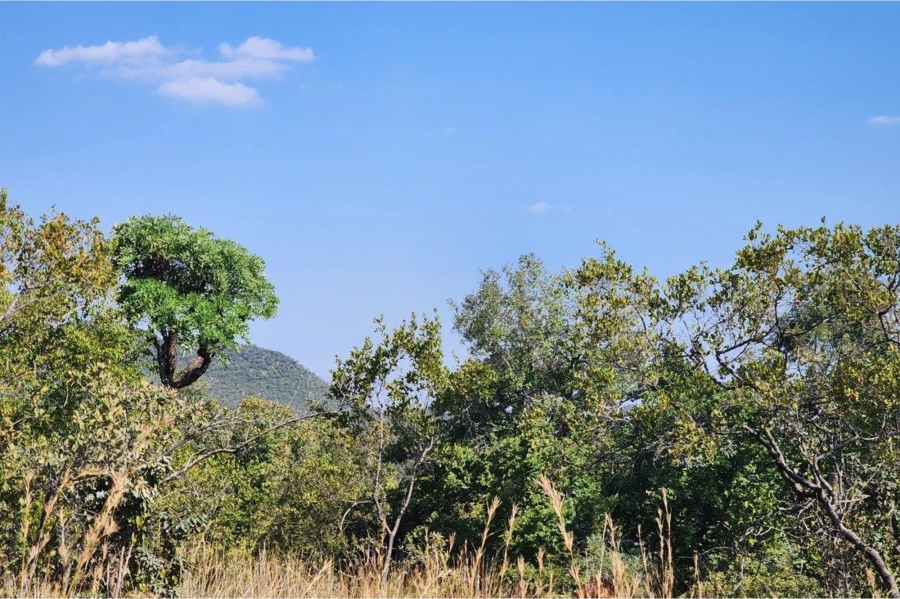 0 Bedroom Property for Sale in Zwartkloof Private Game Reserve Limpopo