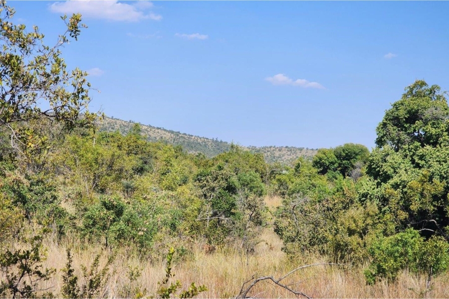 0 Bedroom Property for Sale in Zwartkloof Private Game Reserve Limpopo