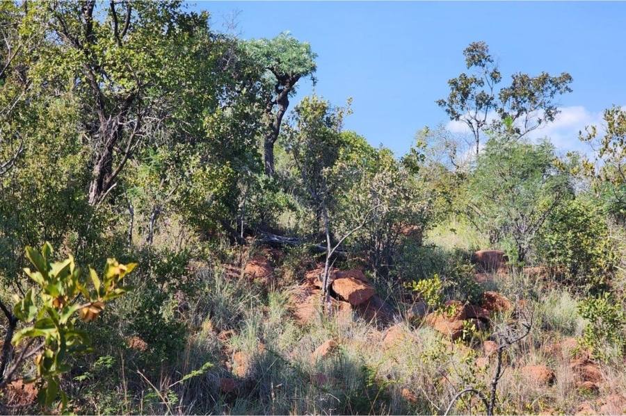 0 Bedroom Property for Sale in Zwartkloof Private Game Reserve Limpopo