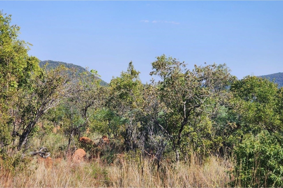 0 Bedroom Property for Sale in Zwartkloof Private Game Reserve Limpopo