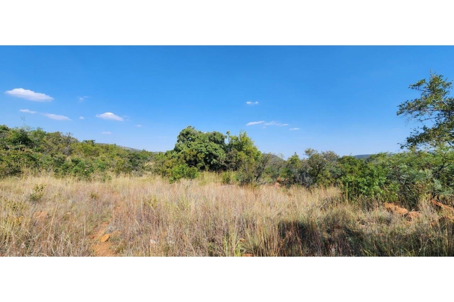 0 Bedroom Property for Sale in Zwartkloof Private Game Reserve Limpopo