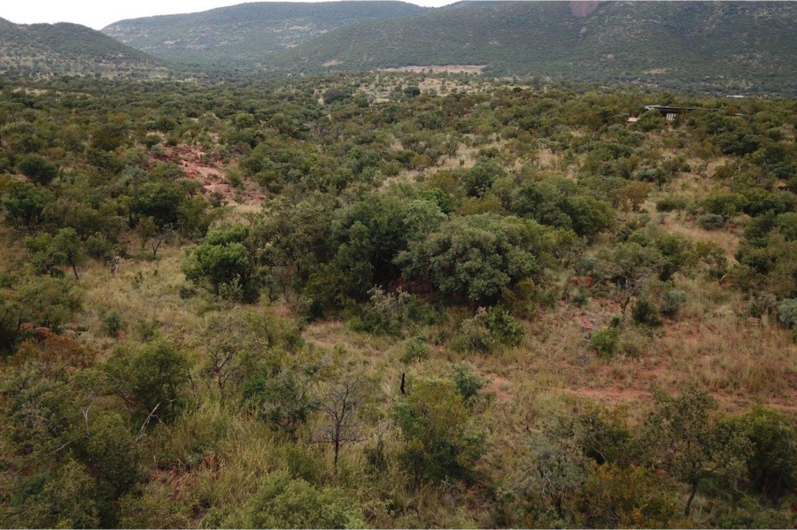 0 Bedroom Property for Sale in Zwartkloof Private Game Reserve Limpopo