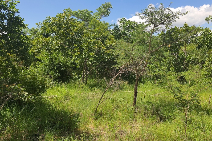 0 Bedroom Property for Sale in Moditlo Wildlife Estate Limpopo