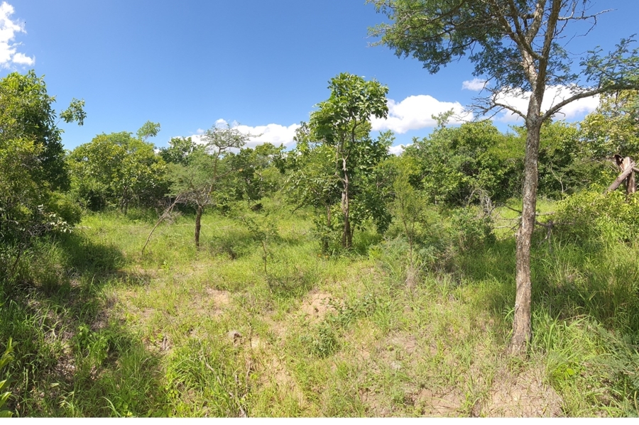 0 Bedroom Property for Sale in Moditlo Wildlife Estate Limpopo