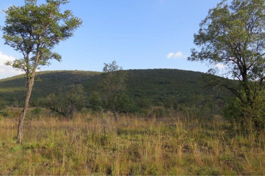 0 Bedroom Property for Sale in Zwartkloof Private Game Reserve Limpopo