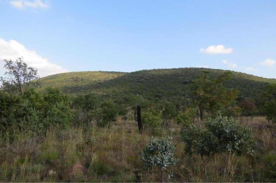 0 Bedroom Property for Sale in Zwartkloof Private Game Reserve Limpopo