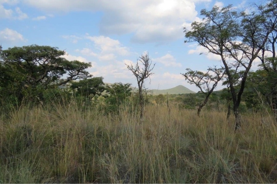0 Bedroom Property for Sale in Zwartkloof Private Game Reserve Limpopo