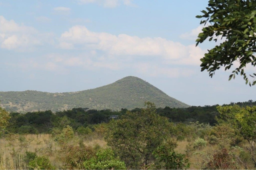 0 Bedroom Property for Sale in Zwartkloof Private Game Reserve Limpopo