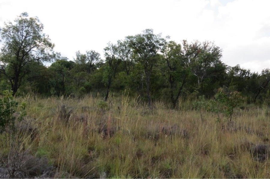 0 Bedroom Property for Sale in Zwartkloof Private Game Reserve Limpopo