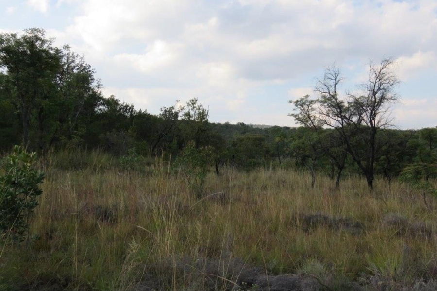 0 Bedroom Property for Sale in Zwartkloof Private Game Reserve Limpopo
