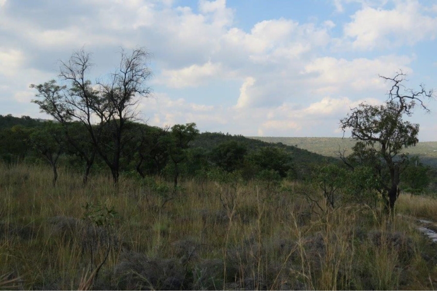 0 Bedroom Property for Sale in Zwartkloof Private Game Reserve Limpopo