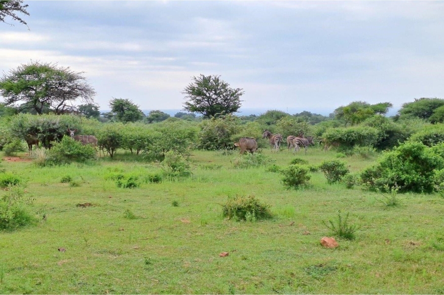 0 Bedroom Property for Sale in Zwartkloof Private Game Reserve Limpopo