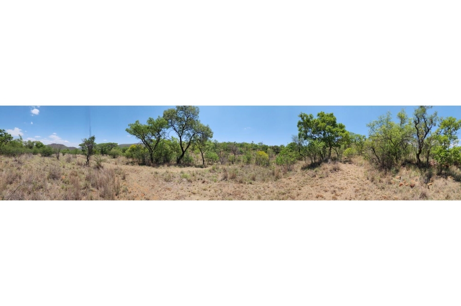 0 Bedroom Property for Sale in Zwartkloof Private Game Reserve Limpopo
