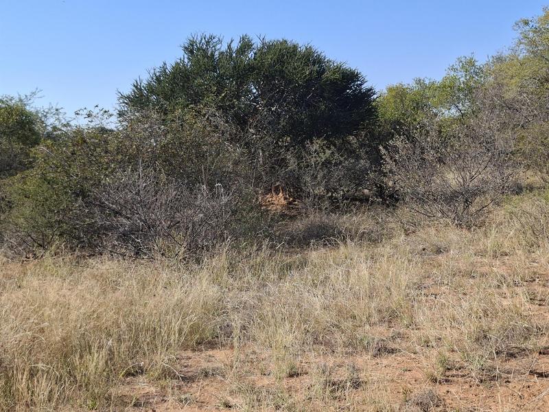 0 Bedroom Property for Sale in Lephalale Limpopo