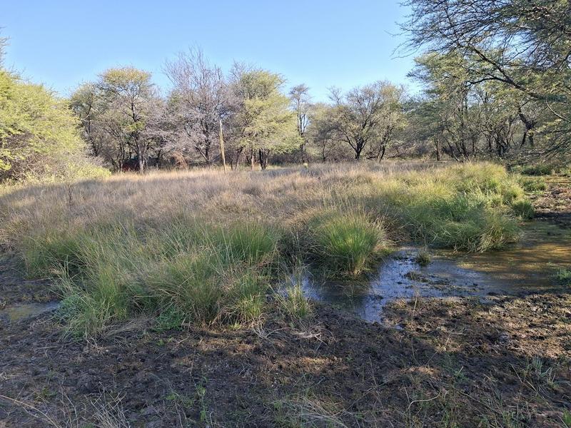 0 Bedroom Property for Sale in Lephalale Limpopo