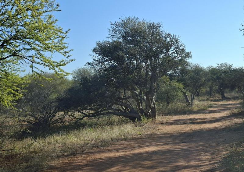 0 Bedroom Property for Sale in Lephalale Limpopo
