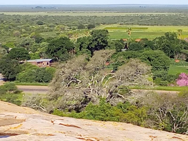 5 Bedroom Property for Sale in Dendron Limpopo