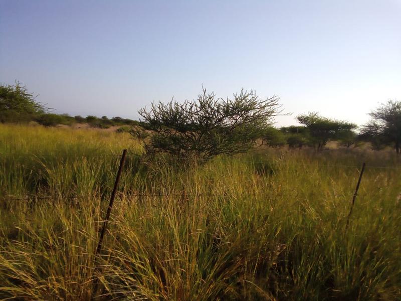 5 Bedroom Property for Sale in Dendron Limpopo