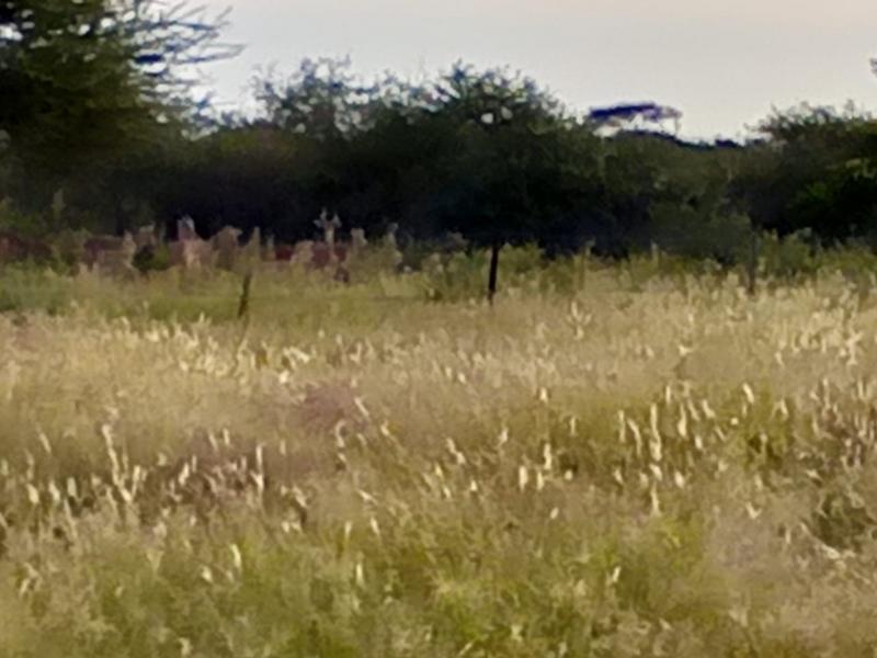 5 Bedroom Property for Sale in Dendron Limpopo