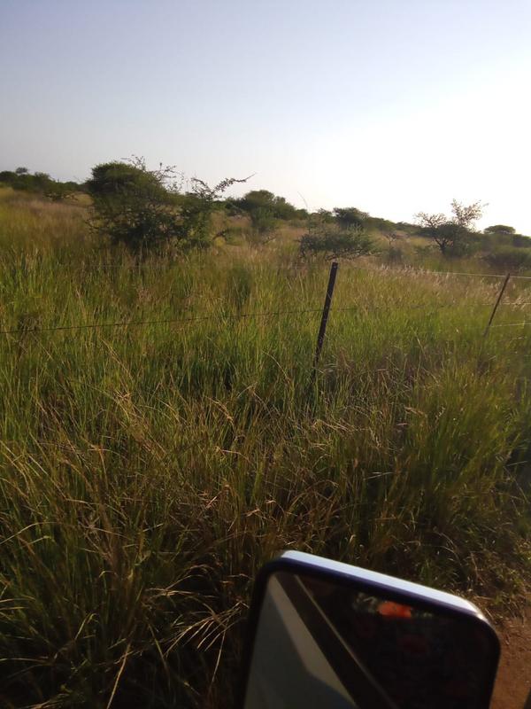 5 Bedroom Property for Sale in Dendron Limpopo