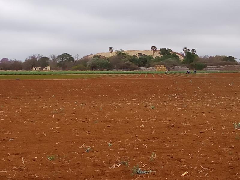 5 Bedroom Property for Sale in Dendron Limpopo