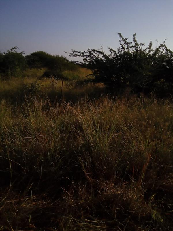 5 Bedroom Property for Sale in Dendron Limpopo