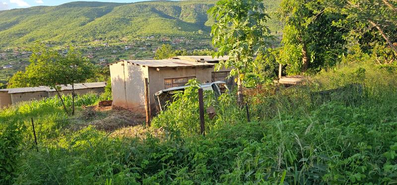 3 Bedroom Property for Sale in Tshikombani Limpopo