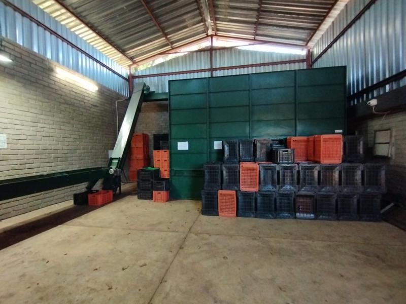 5 Bedroom Property for Sale in Agatha Park Limpopo