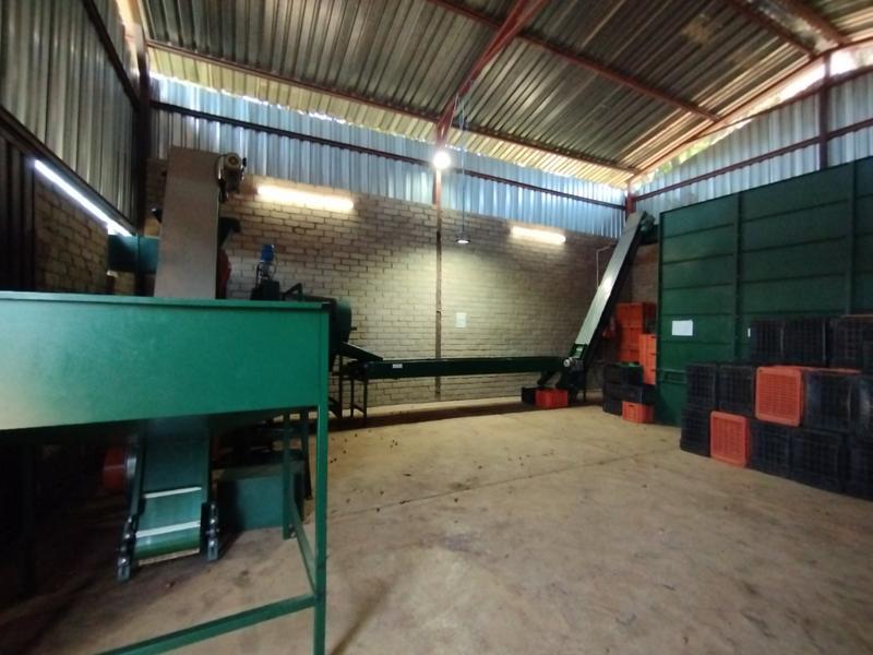 5 Bedroom Property for Sale in Agatha Park Limpopo