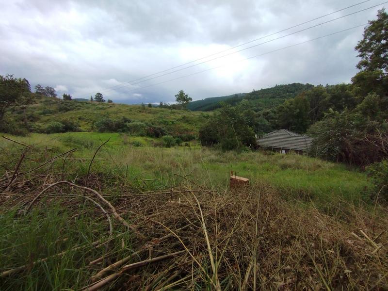 0 Bedroom Property for Sale in Haenertsburg Limpopo