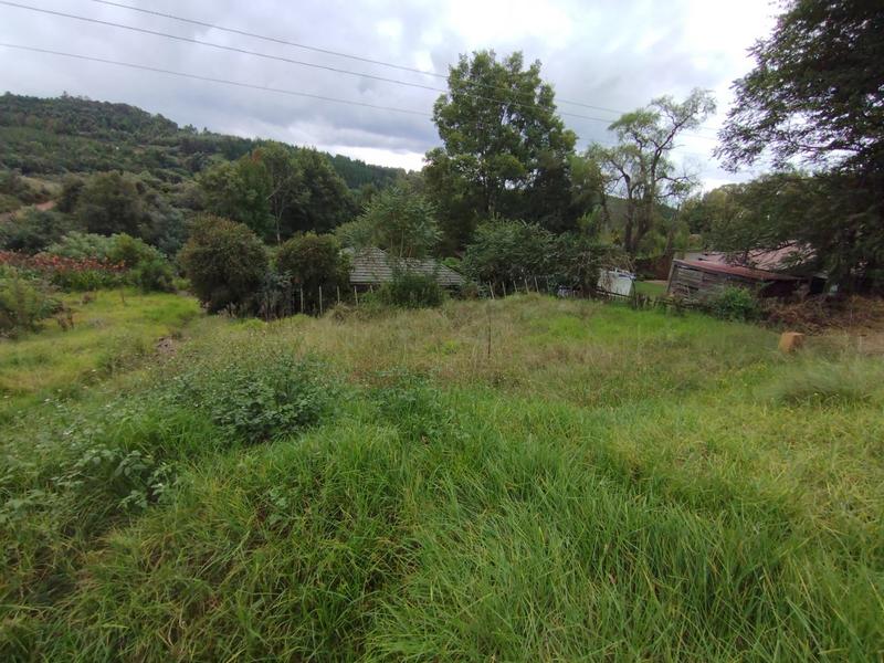 0 Bedroom Property for Sale in Haenertsburg Limpopo