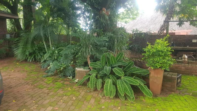 6 Bedroom Property for Sale in Sentra Park Limpopo