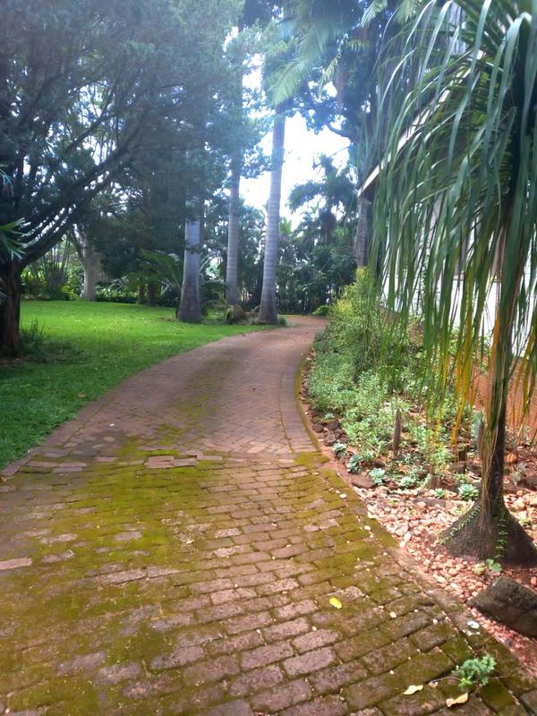 6 Bedroom Property for Sale in Sentra Park Limpopo