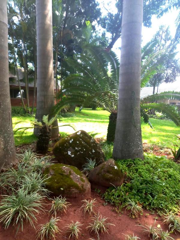 6 Bedroom Property for Sale in Sentra Park Limpopo