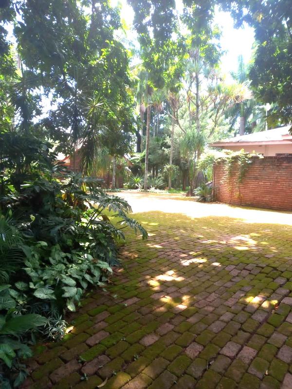 6 Bedroom Property for Sale in Sentra Park Limpopo